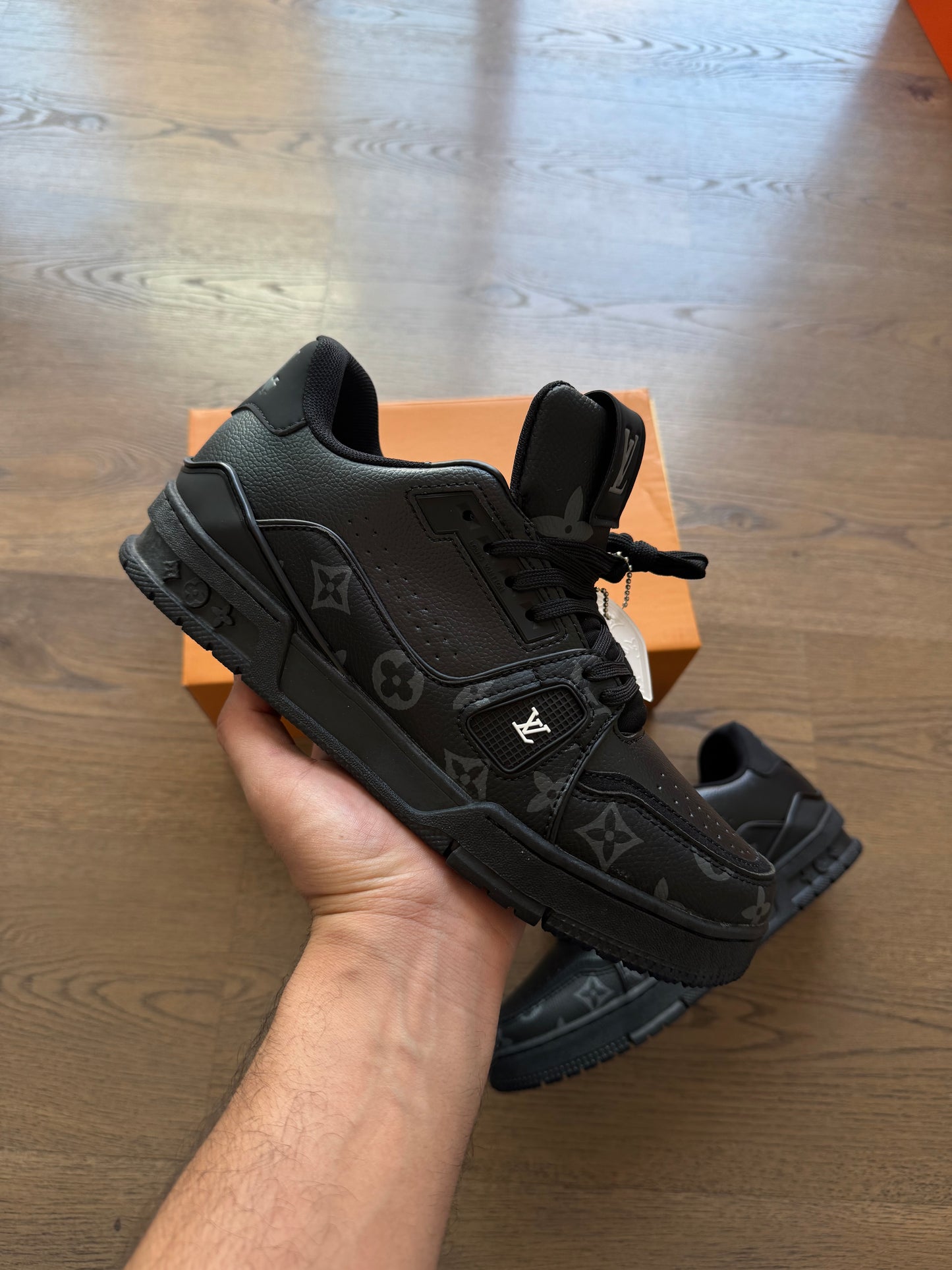 LV TRAINER - M12