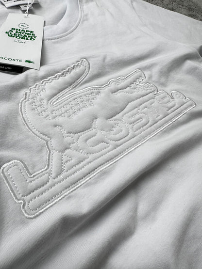CONJUNTO CORTO - LACOSTE - M3